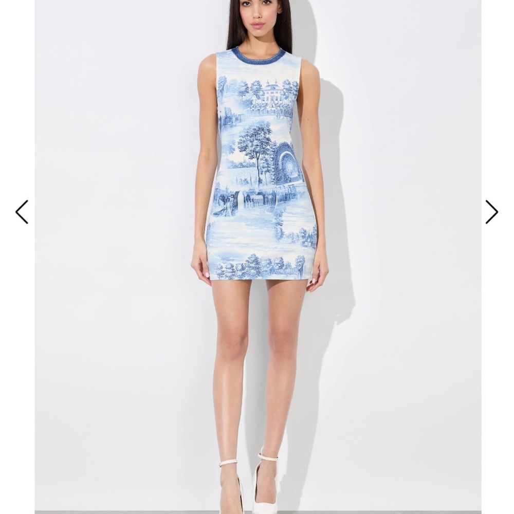 Alice and Olivia WYNELL MINI DRESS